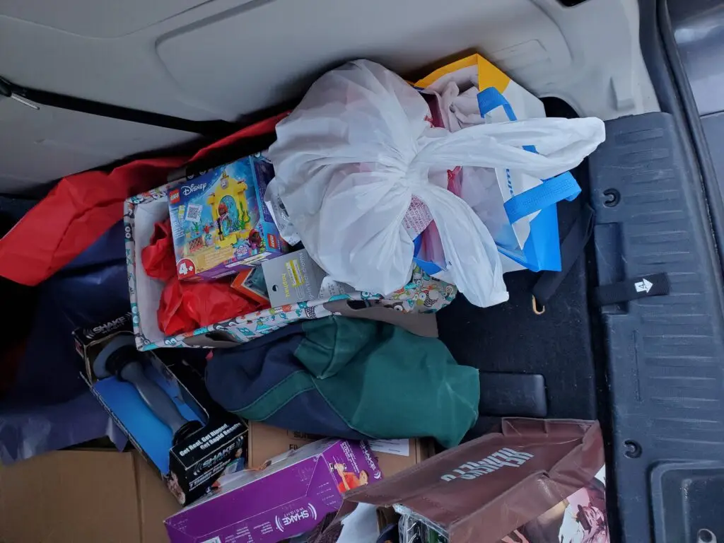 bags of purchased thrift items